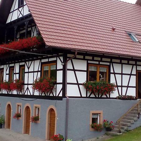 Steinhof Daire Oberkirch  Dış mekan fotoğraf