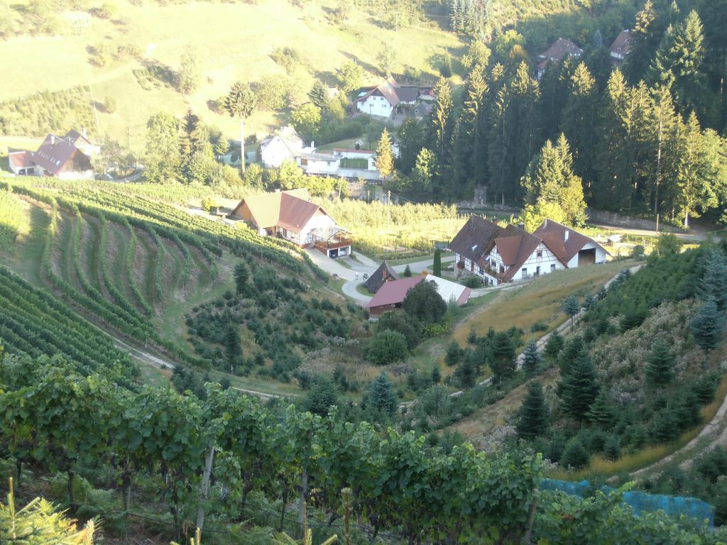Steinhof Daire Oberkirch  Dış mekan fotoğraf