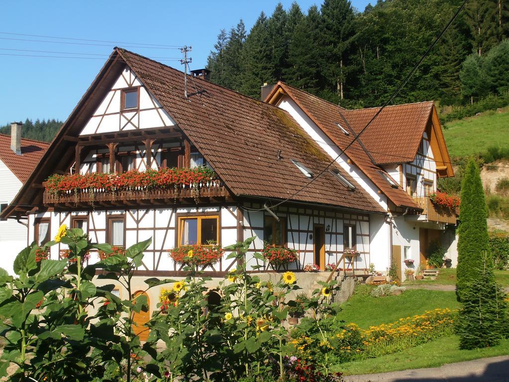 Steinhof Daire Oberkirch  Dış mekan fotoğraf