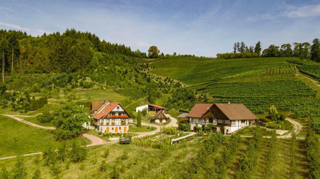 Steinhof Daire Oberkirch  Dış mekan fotoğraf