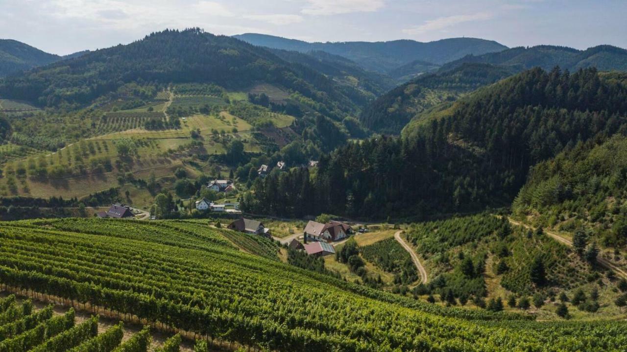Steinhof Daire Oberkirch  Dış mekan fotoğraf