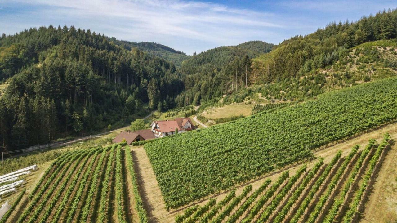 Steinhof Daire Oberkirch  Dış mekan fotoğraf