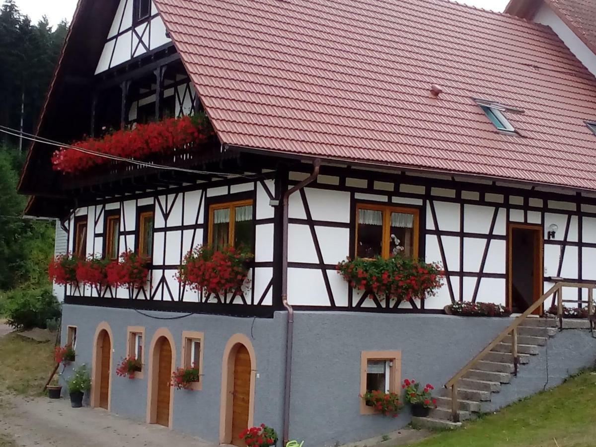 Steinhof Daire Oberkirch  Dış mekan fotoğraf